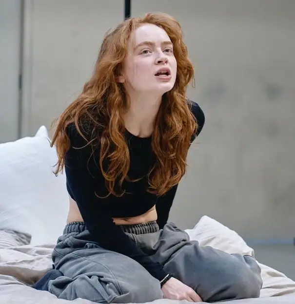 Preview of Sadie Sink Quiet Emotion Moment Lifestyle Prompt