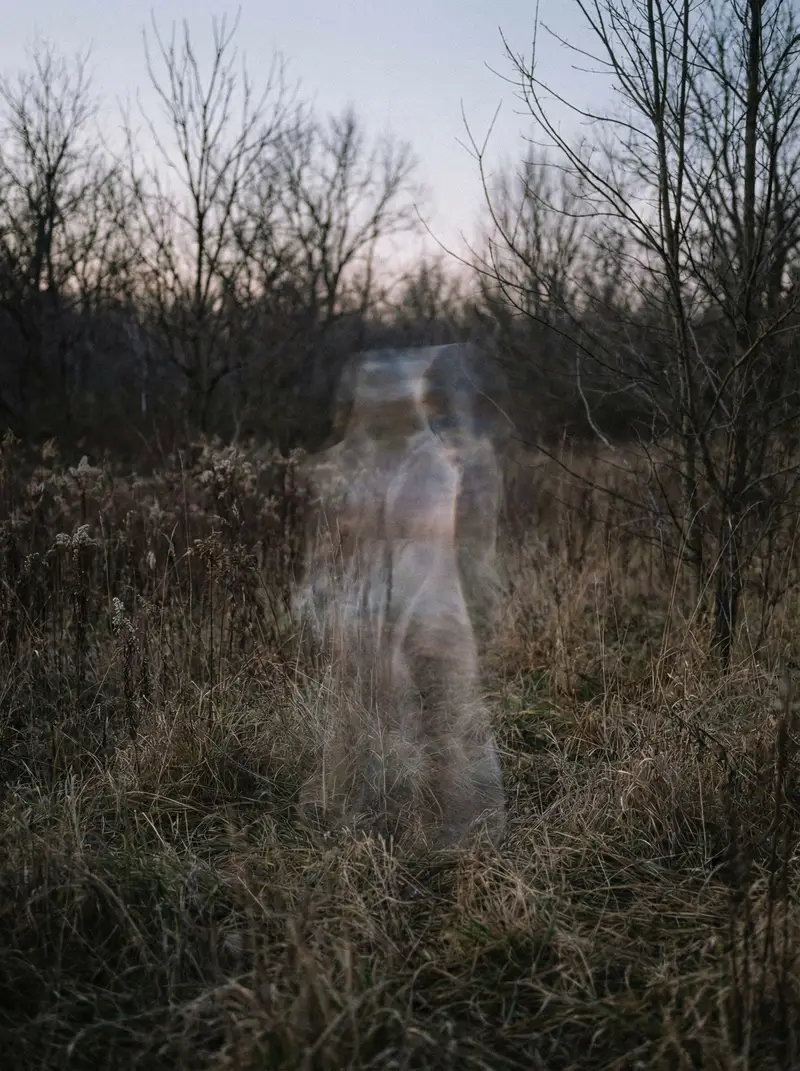 Preview of Impossible Anti-Memetic Entity Photo