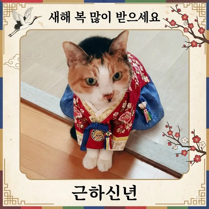 Preview of Cat Hanbok New Year's Card Generation Prompt