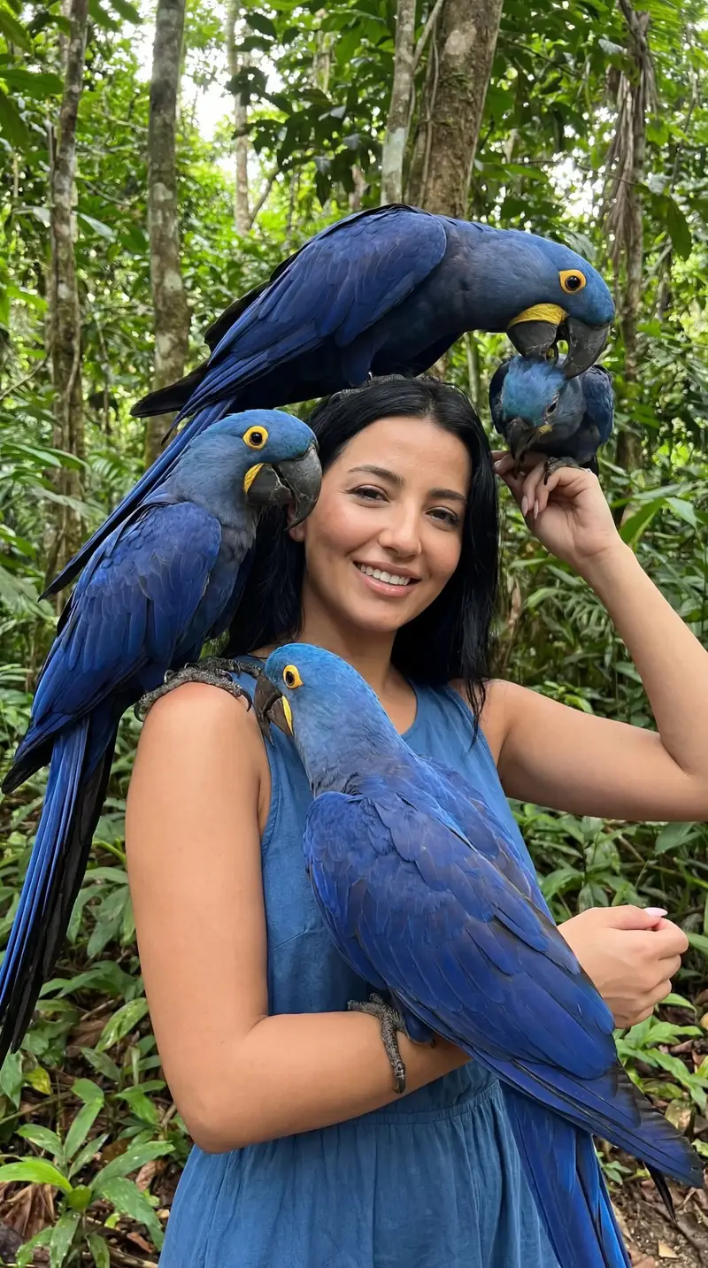 Preview of Exotic Wildlife Fashion Editorial Prompt (Blue Macaws)