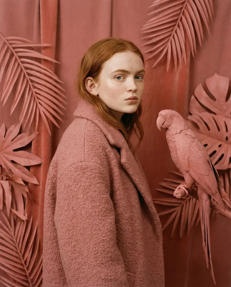 پیش‌نمایش Avant-Garde Editorial Velvet Portrait