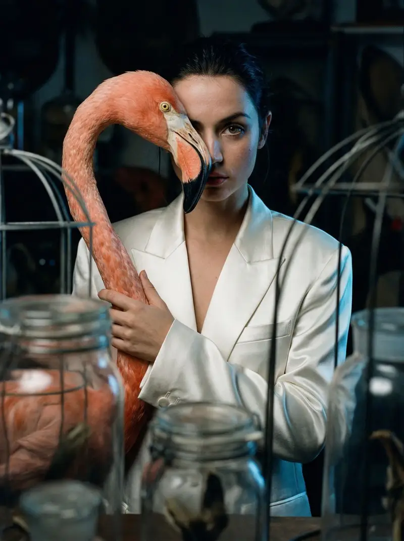 Preview of Surrealist Ornithology fashion editorial prompt