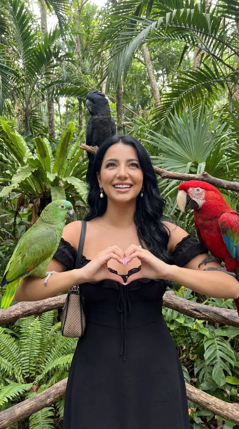 Preview of Candid Tropical Aviary Portrait with Parrots and Identity Lock