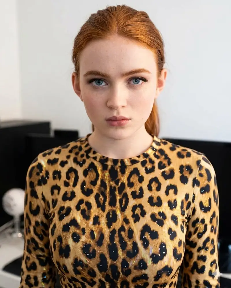 پیش‌نمایش Sparkling Cheetah Portrait Prompt for Gemini Nano Banana Pro