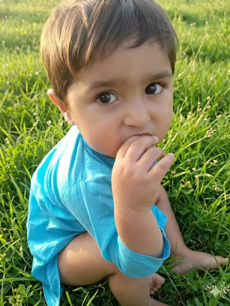پیش‌نمایش پرتره کودک نوپا در چمنزار در ساعت طلایی